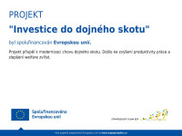 INVESTICE DO DOJNÉHO SKOTU INVESTICE DO DOJNÉHO SKOTU